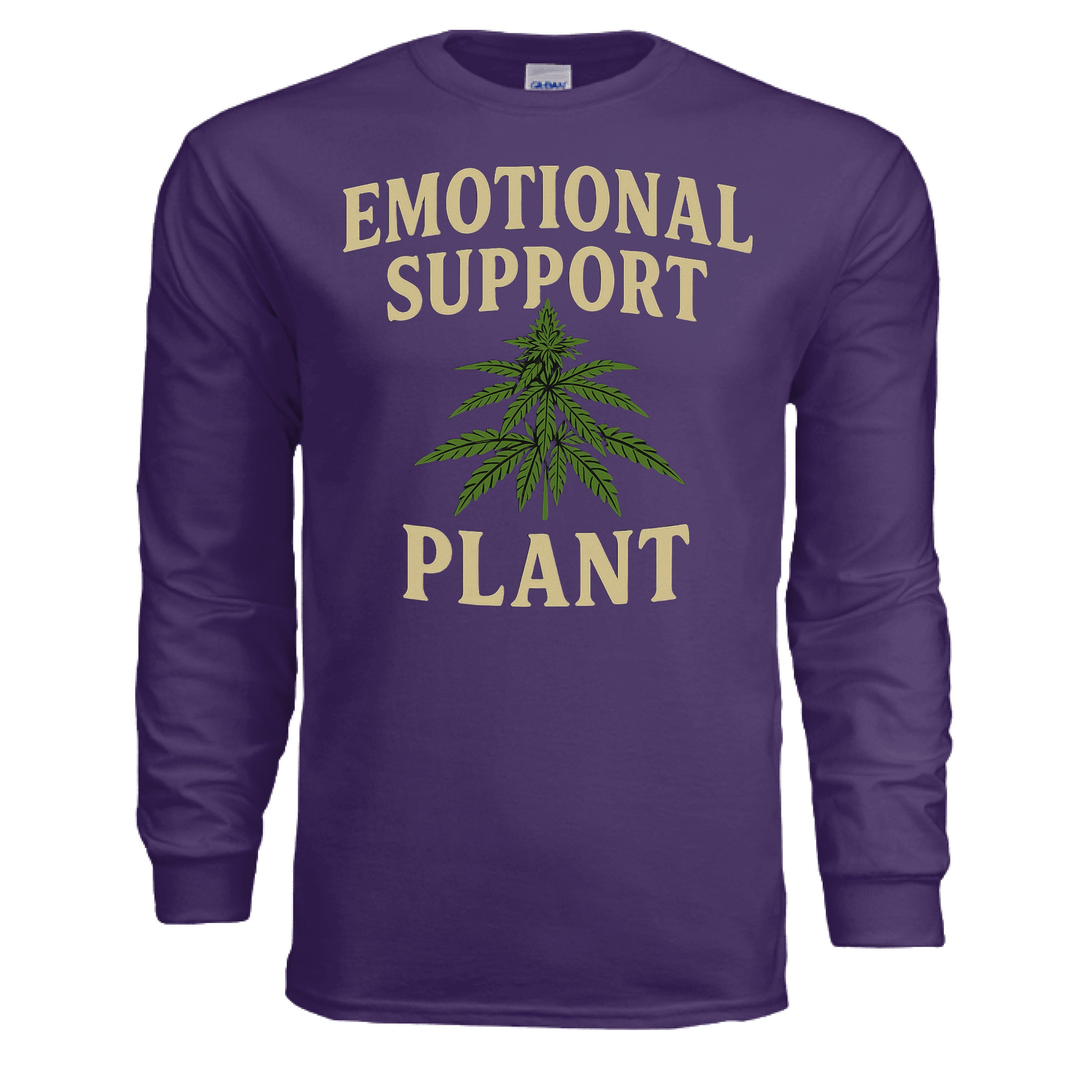 PURPLE - FRONT