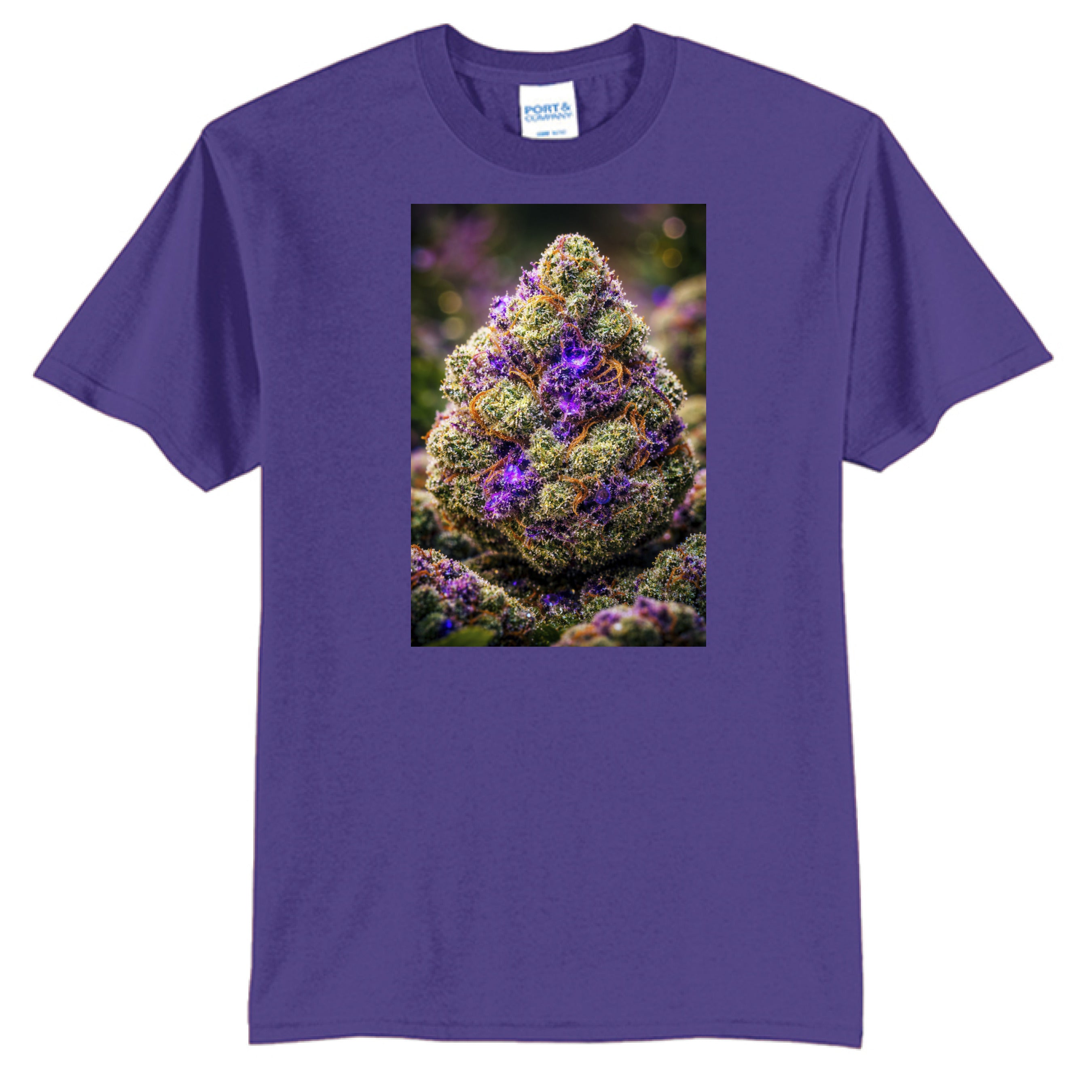 Purple - FRONT